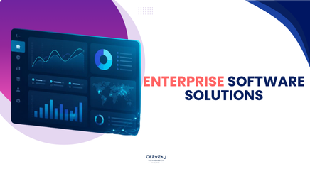Enterprise Software Solutions​