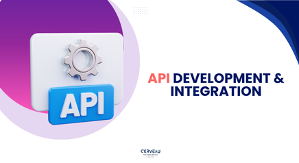 API Development & Integration​