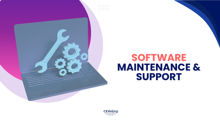 Software Maintenance & Support​